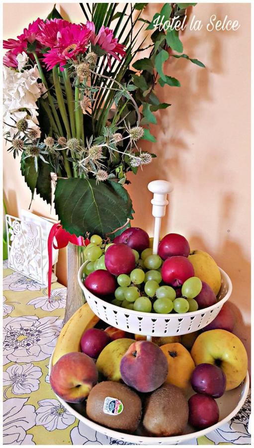 Hotel La Selce Monselice Εξωτερικό φωτογραφία
