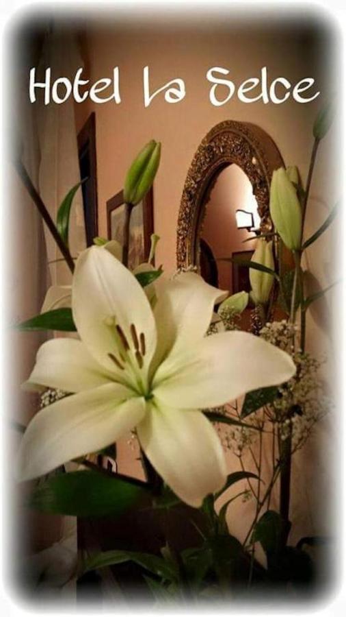 Hotel La Selce Monselice Εξωτερικό φωτογραφία